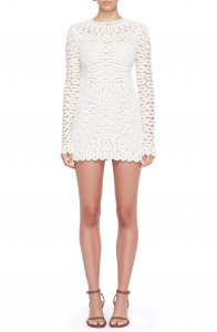 McCall Cage Crochet Embroidery Long Sleeve Minidress