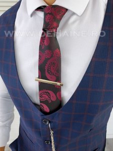 Cravata barbati B5562