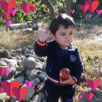 Vasile Netu Profile Picture