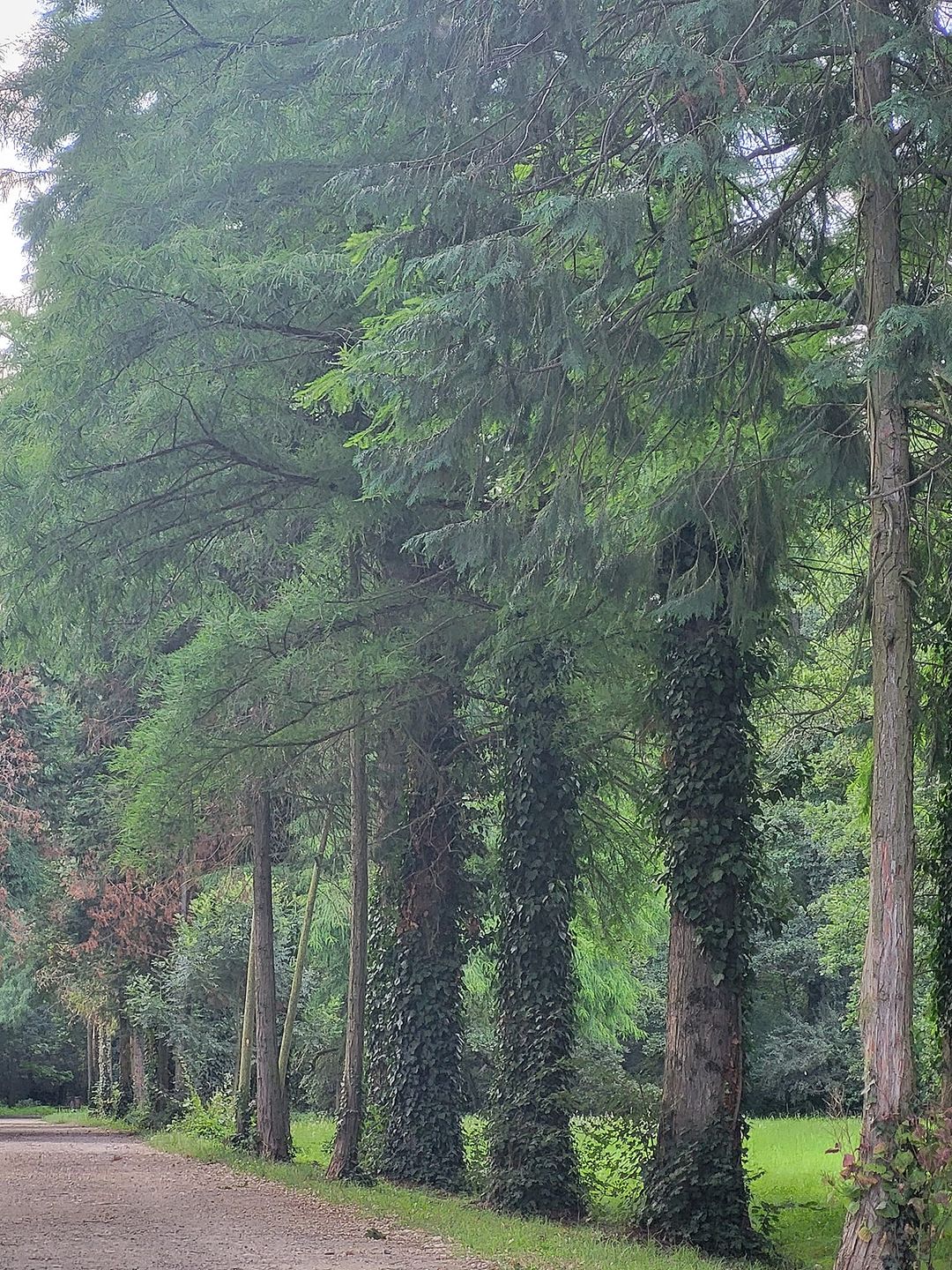 Montana Hier profile picture