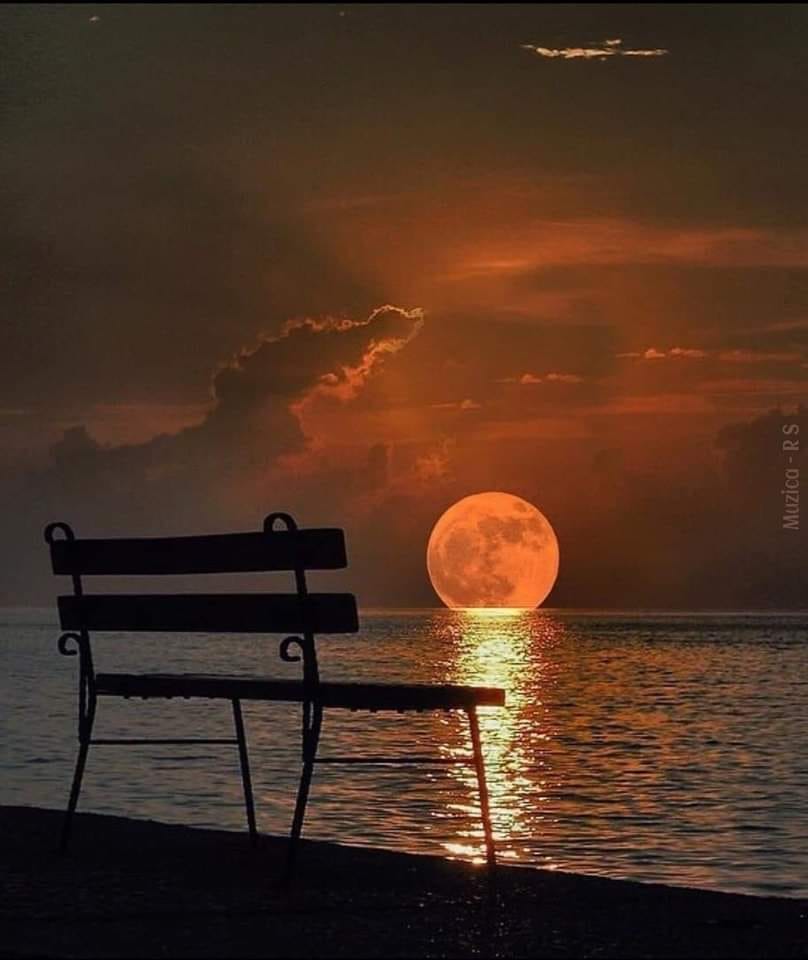 Montana Hier profile picture