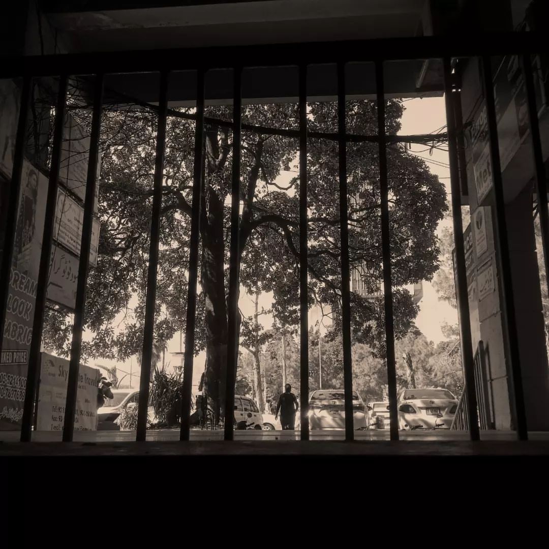 Montana Hier profile picture