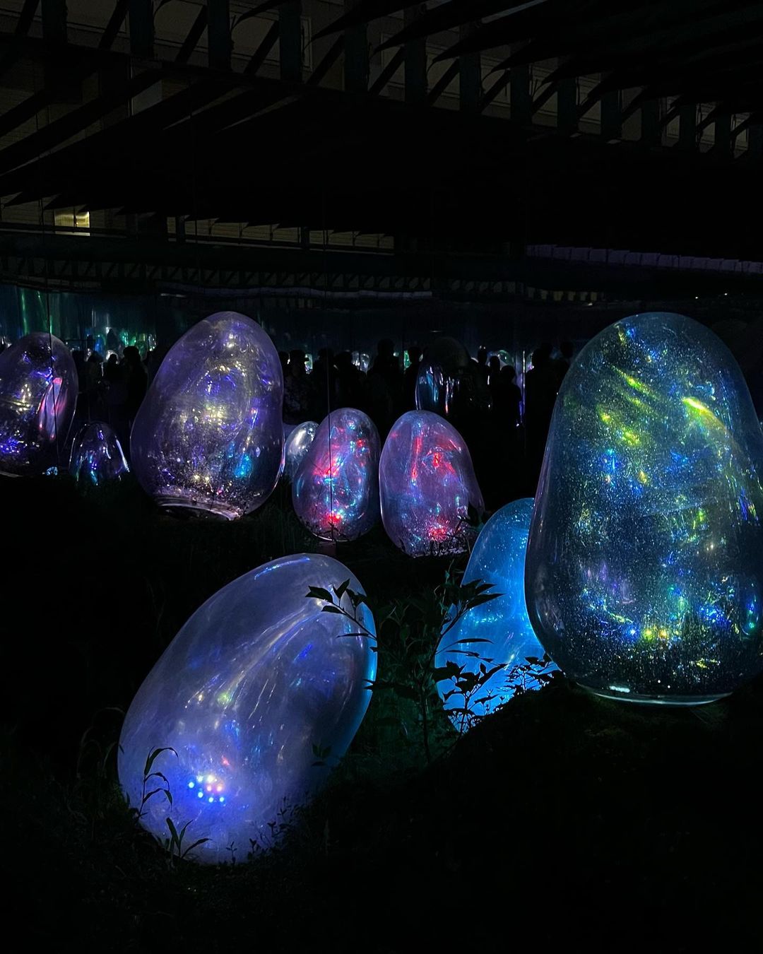 Montana Hier profile picture