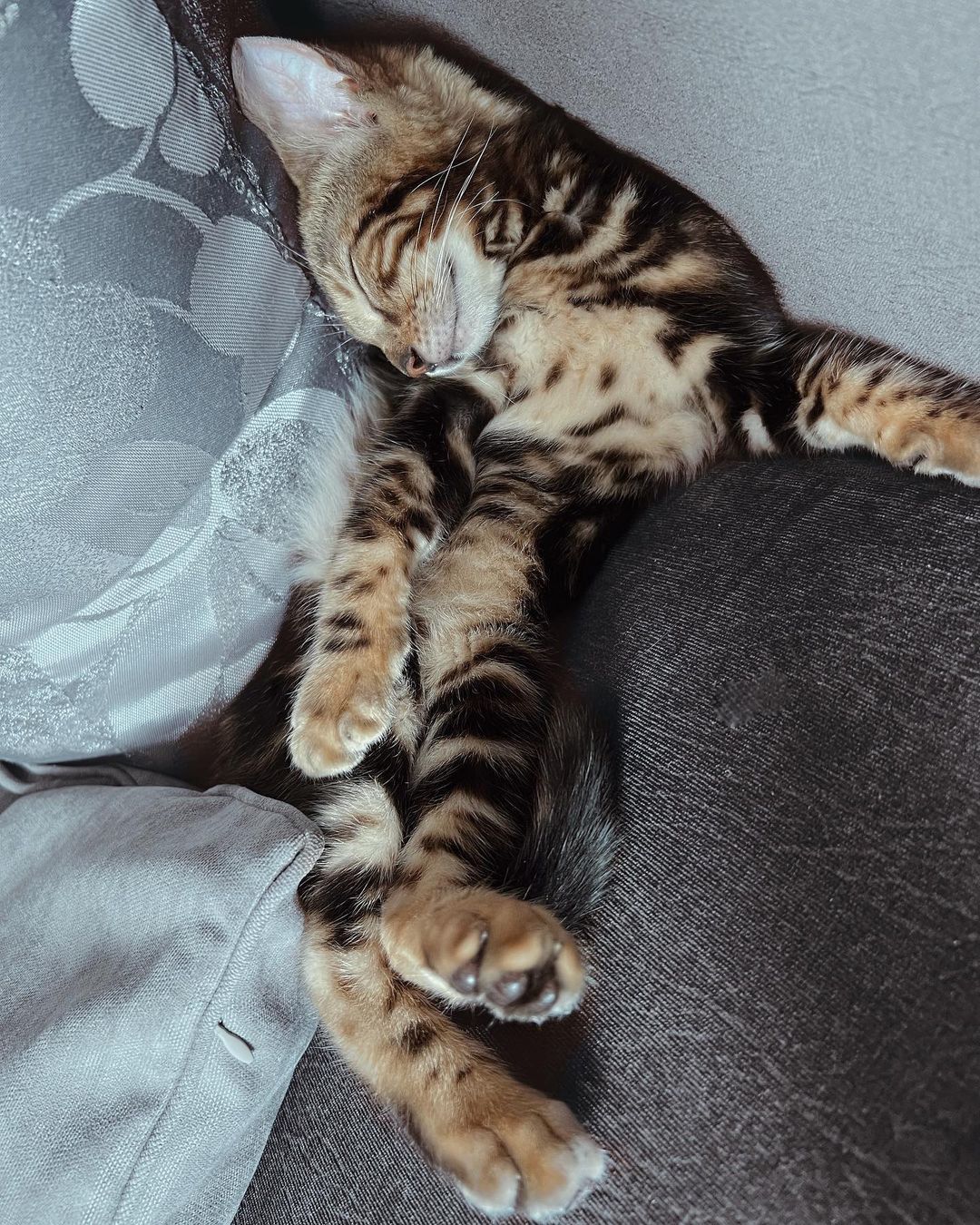 Montana Hier profile picture