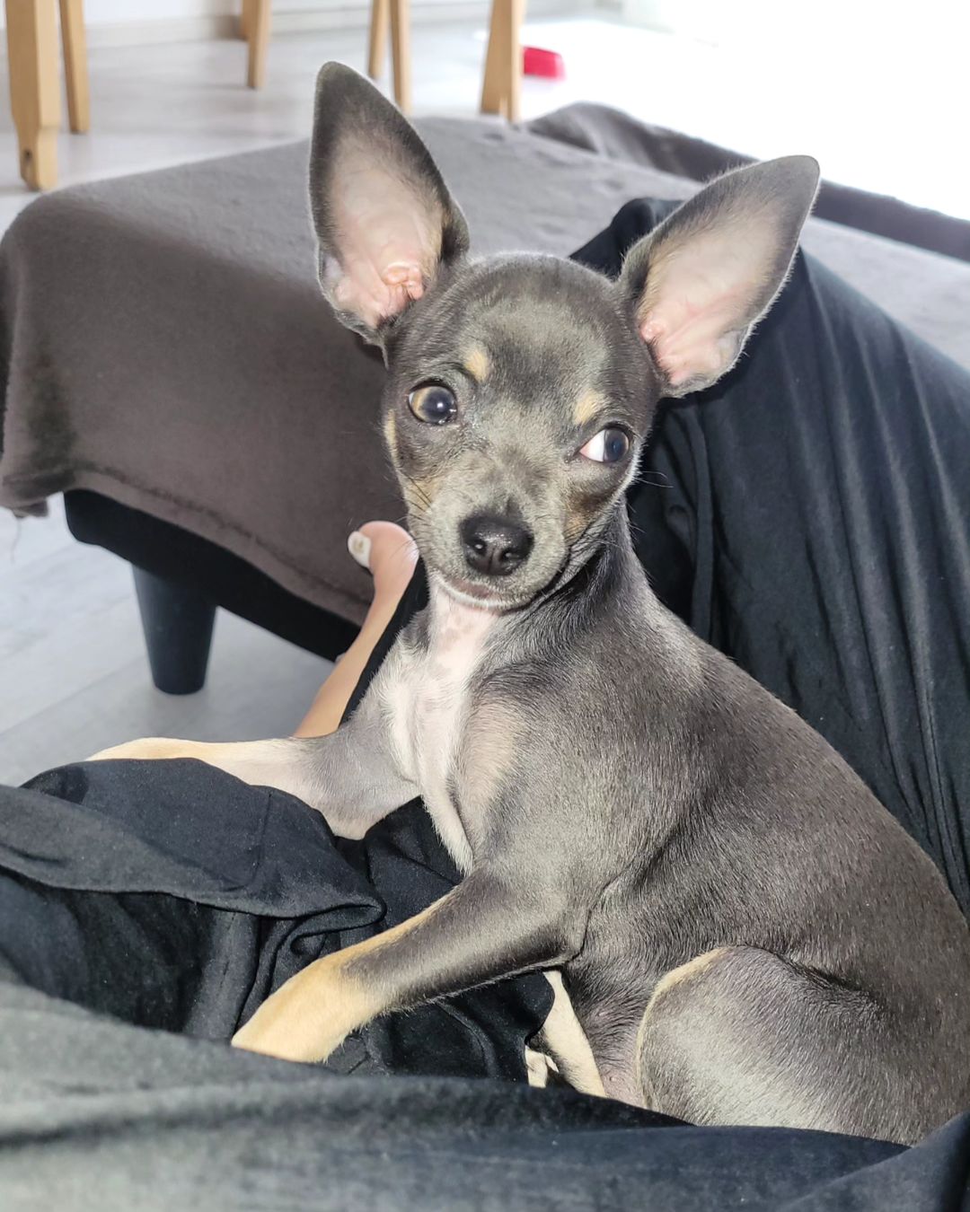 Montana Hier profile picture