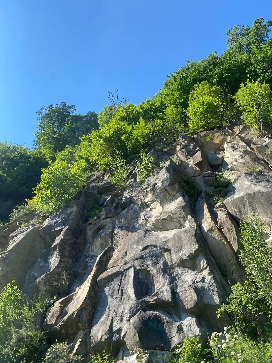 Montana Hier profile picture
