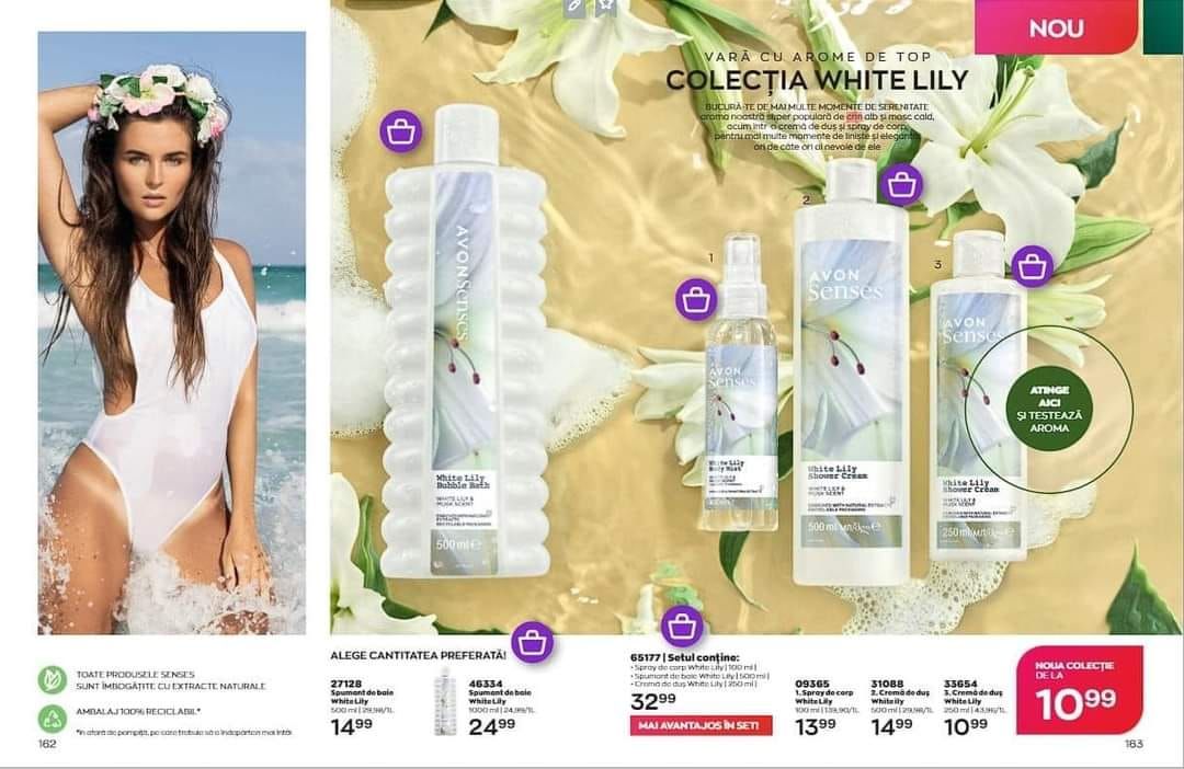 Montana Hier profile picture