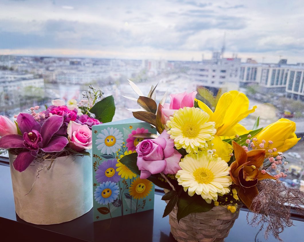 Montana Hier profile picture