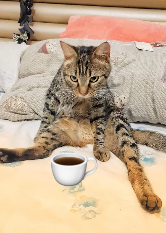 Montana Hier profile picture