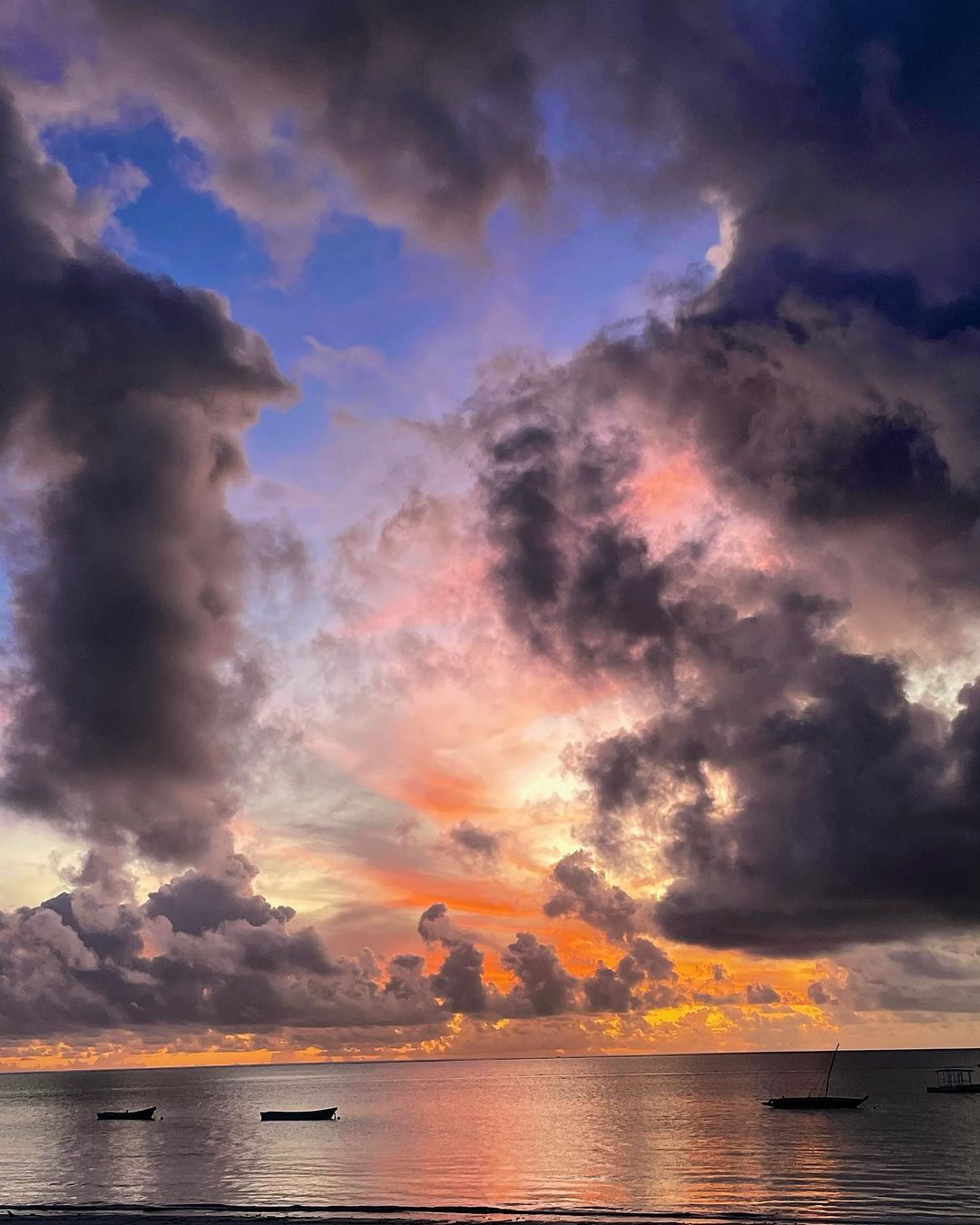 Montana Hier profile picture