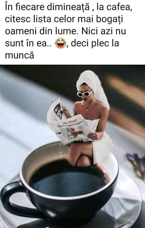 Montana Hier profile picture