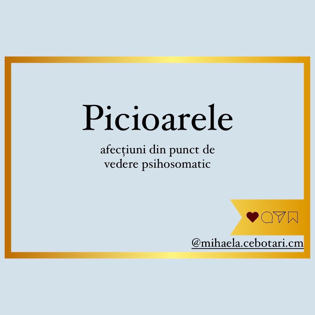 Montana Hier profile picture