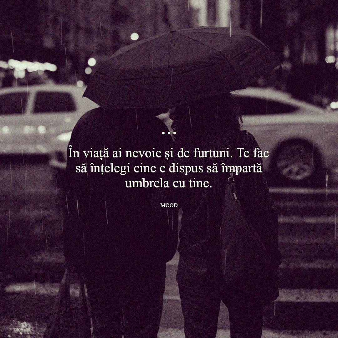 Montana Hier profile picture