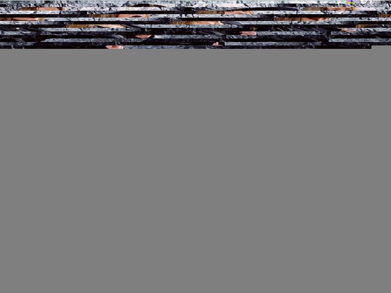 Anne-Marie Winnett Profile Picture