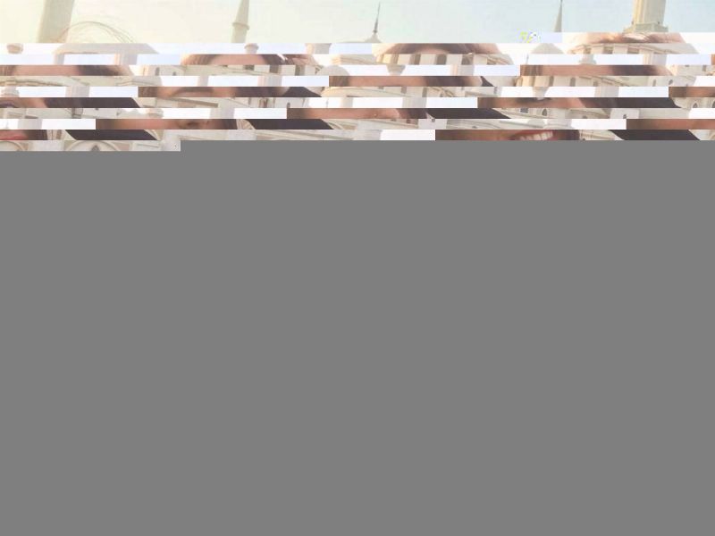 Marissa Arnold profile picture