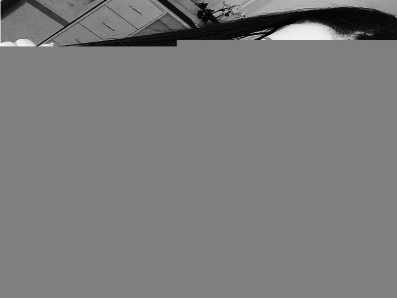 Anne Hempstead Profile Picture