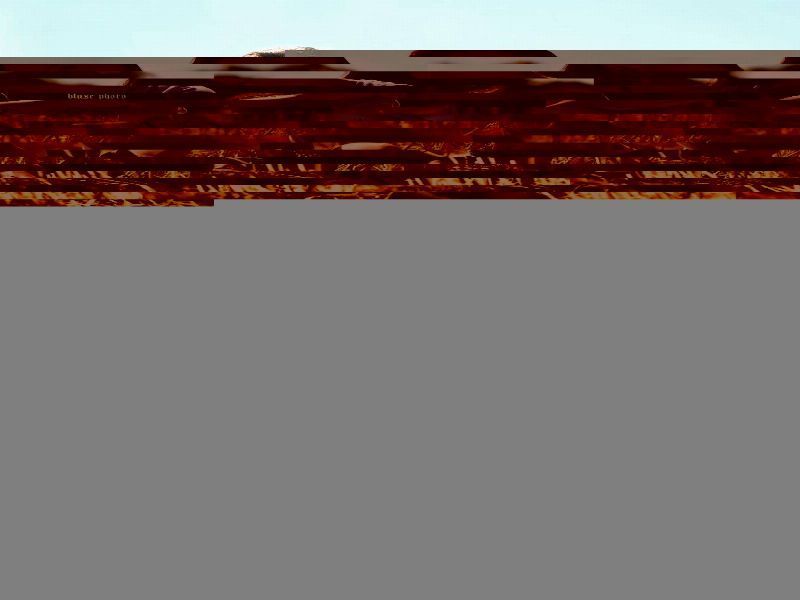 Ashley Mayers Profile Picture