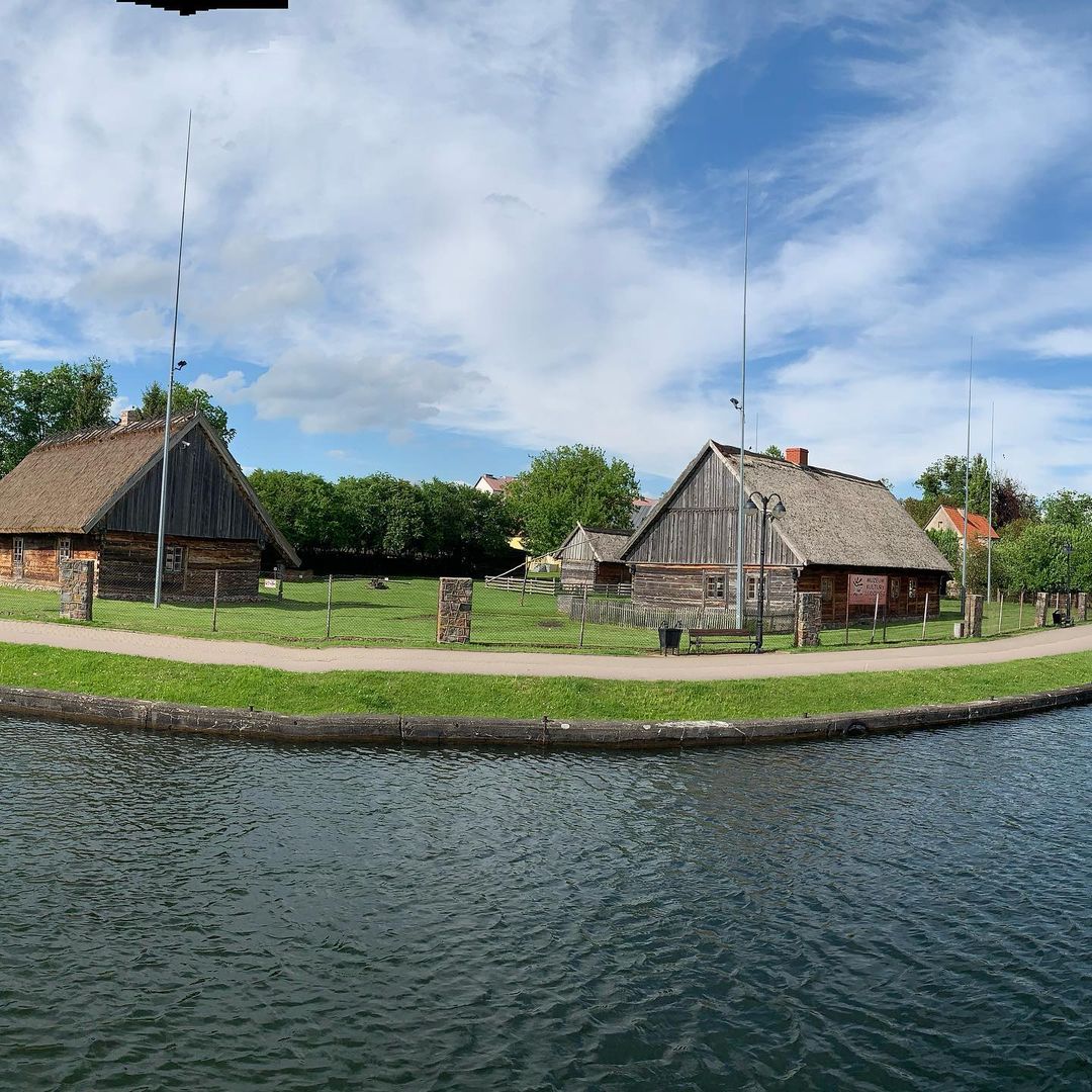 Neil Dorgan Profile Picture